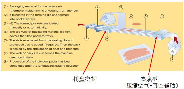 熱成型/拉伸膜真空包裝機