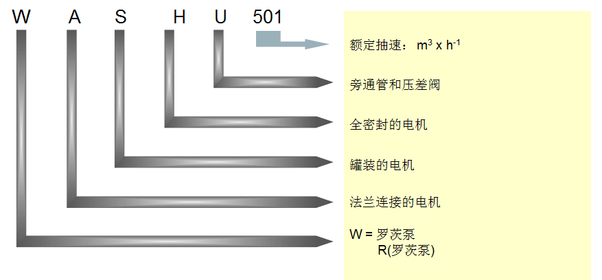 萊寶羅茨泵命名規則