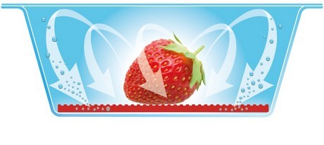 氣調(diào)包裝-水果